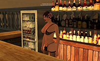 roleplay
